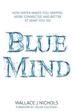 Blue Mind - How Water Makes You Happier, More Connected and Better at What You Do