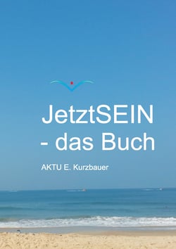 JetztSEIN - das Buch - Wie Sie in Frieden leben können!