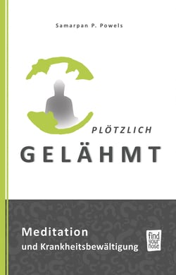 Plötzlich gelähmt - Über Meditation zur Krankheitsbewältigung am Beispiel einer Autoimmunkrankheit (GBS)