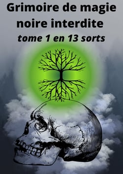 Grimoire de magie noire interdite - tome 1 en 13 sorts