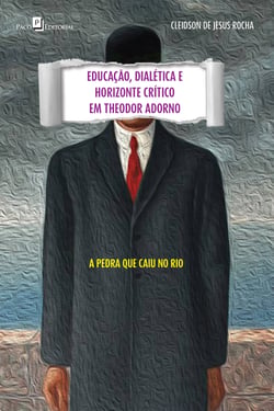Educação, dialética e horizonte crítico em Theodor Adorno - A pedra que caiu no rio