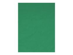 Fond vert T'nB - Influence - 1.5 m x 2 m