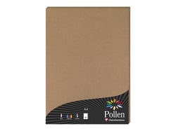1 étui de 50 feuilles Pollen 210 x 297 mm 120 g  - Kraft