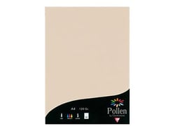 1 étui de 50 feuilles Pollen 210x297 mm 120g  - Ivoire