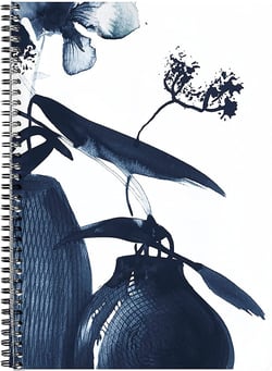 1 Carnet à spirale - Format A4 21 x 29,7 cm - Inkebana - Clairefontaine - 148 pages lignées - bleu - Modèle assortis