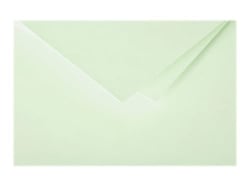 25 cartes pliées Pollen 106x213 mm  - Vert