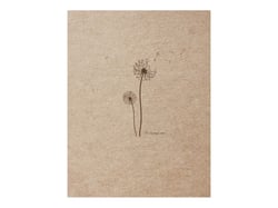 Carnet Flying Spirit 16 x 21 cm - 120 feuilles