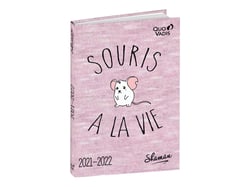 Agenda scolaire journalier 2021/2022 - Shaman souris - 12x17 cm - Quo Vadis