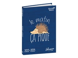 Agenda scolaire journalier 2022/2023 - Shaman - 12 x 17 cm - Quo Vadis - Le matin, ça pique