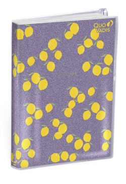 Agenda  Semainier 2023/2024 - My Agenda UNIVERSITAIRE - 10 x 15 cm - Quo Vadis
