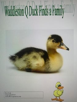 Waddlston Q Duck Finds a Family - Waddleston Q Duck, #1