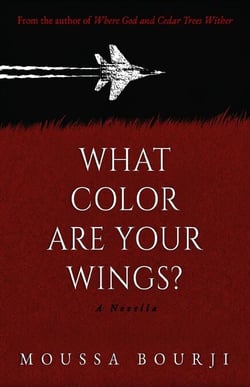 What Color Are Your Wings?