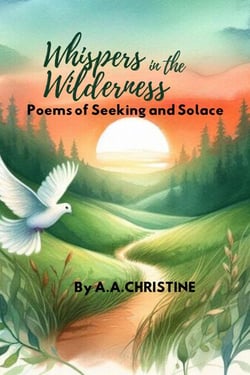 Whispers in the Wilderness: Poems of Seeking and Solace - I Saw The Light, #1