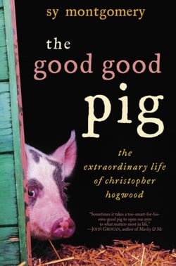 The Good Good Pig - The Extraordinary Life of Christopher Hogwood