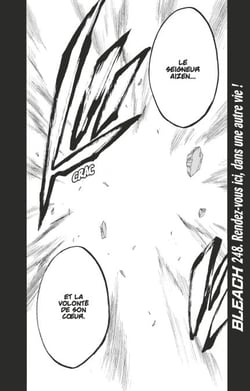 Bleach - T28 - Chapitre 248 - Rendez-vous ici, dans une autre vie !
