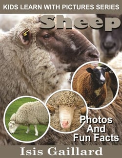 Sheep Photos and Fun Facts for Kids - Kids Learn With Pictures, #27