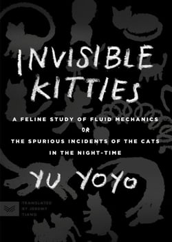 Invisible Kitties - A Feline Study of Fluid Mechanics or The Spurious Incidents of the Cats in the Night-Time