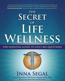 The Secret of Life Wellness - The Essential Guide to Life's Big Questions