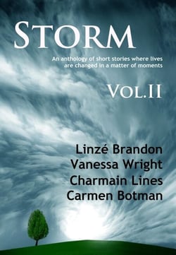 Storm Volume II - Storm, #2