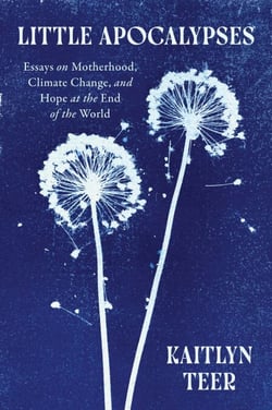 Little Apocalypses - Essays on Motherhood, Climate Change, and Hope at the End of the World