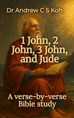 1 John, 2 John, 3 John &amp; Jude: a Verse by Verse Bible Study - Non Pauline and General Epistles, #2