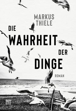 Die Wahrheit der Dinge - Roman