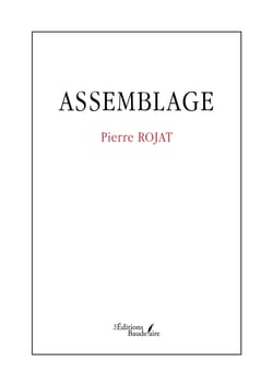 Assemblage