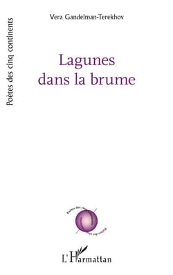Lagunes dans la brume