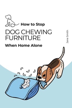 Guide – How to Stop Dog Chewing Furniture When Home Alone
