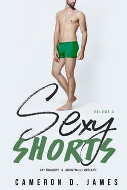 Sexy Shorts: Volume Three: Gay Hookups and Anonymous Quickies - Sexy Shorts, #3