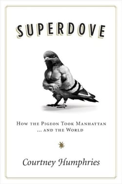 Superdove - How the Pigeon Took Manhattan ... And the World