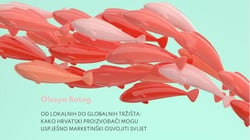 Od lokalnih do globalnih tržišta: Kako hrvatski proizvodaci mogu uspješno marketinški osvojiti svijet