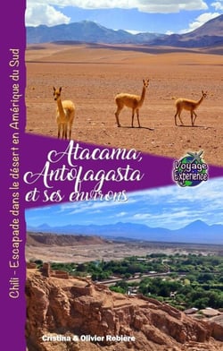 Atacama, Antofagasta et les Environs - Voyage Experience
