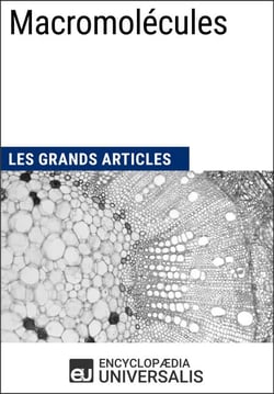 Macromolécules - Les Grands Articles d'Universalis
