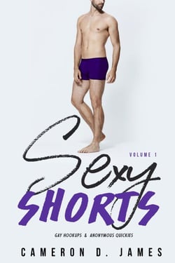 Sexy Shorts: Volume One: Gay Hookups and Anonymous Quickies - Sexy Shorts, #1