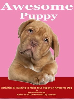 Awesome Puppy: Activities &amp; Training to Make Your Puppy an Awesome Dog