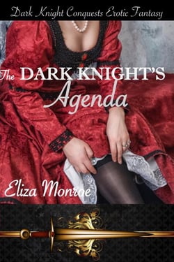 The Dark Knight's Agenda - Dark Knight Conquests Erotic Fantasy, #4