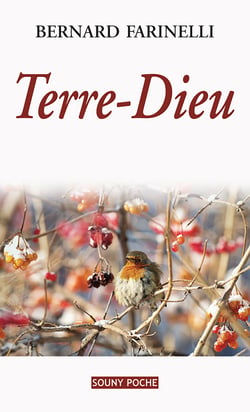 Terre-Dieu - Un roman du terroir