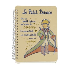 Notebook Enesco - Le Petit Prince cape épée