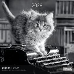Calendrier mural 2026 Pictura - Chats noir et blanc - 30 x 30 cm