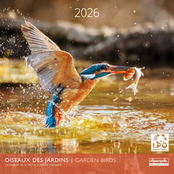 Calendrier mural 2026 Pictura - Oisdeaux des jardins - 30 x 30 cm
