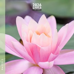 Calendrier mural 2026 Pictura - Pastel - 16 x 16 cm
