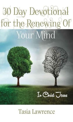 30 Day Devotional For The Renewing Of Your Mind: In Christ Jesus