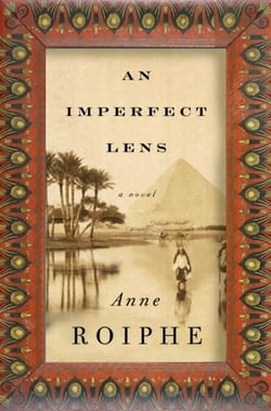An Imperfect Lens - A Novel