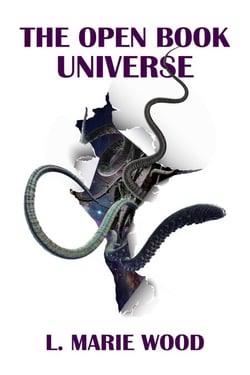The Open Book Universe