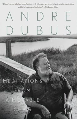 Meditations from a Movable Chair - Essays