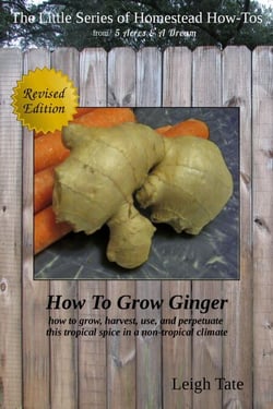 How To Grow Ginger: How To Grow, Harvest, Use, and Perpetuate This Tropical Spice in a Non-tropical Climate - The Little Series of Homestead How-Tos from 5 Acres &amp; A Dream, #9