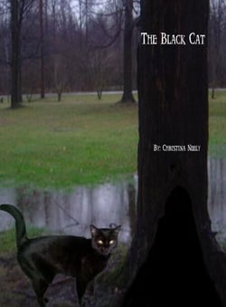 The Black Cat - The Black Cat, #1
