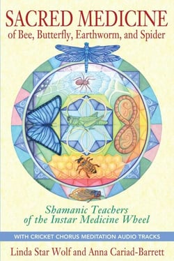 Sacred Medicine of Bee, Butterfly, Earthworm, and Spider - Shamanic Teachers of the Instar Medicine Wheel
