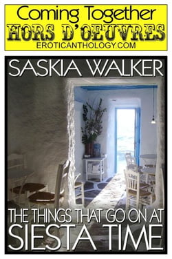 The Things That Go On At Siesta Time - Coming Together: Hors d'Oeuvres, #25